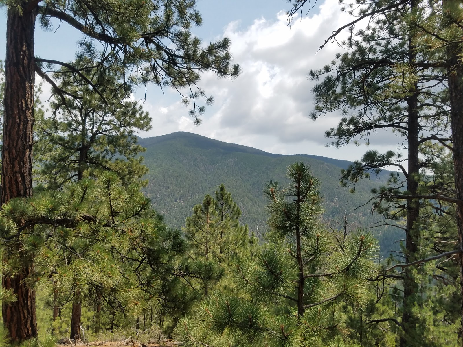 Hyde Memorial State Park