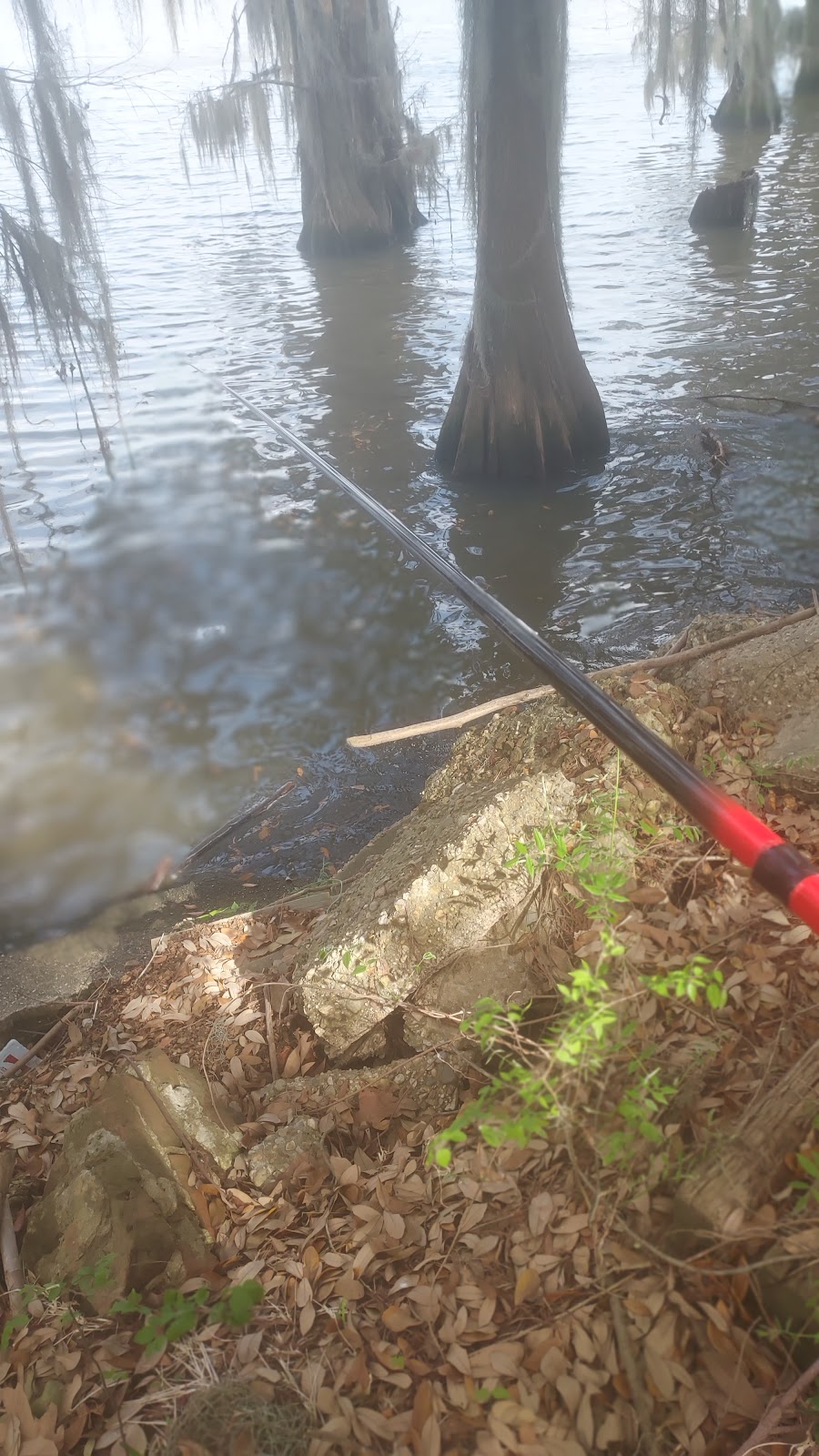 LesTer's on the Lake