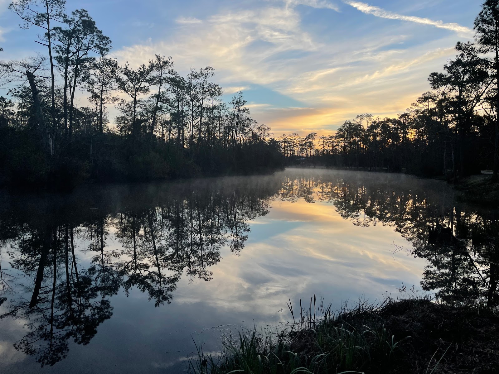 McLeod Park Campground