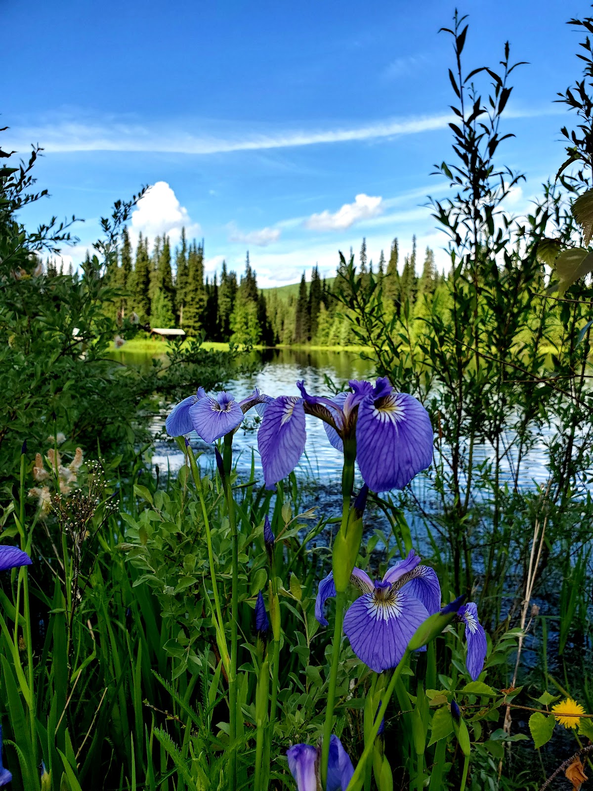 Red Squirrel Campground