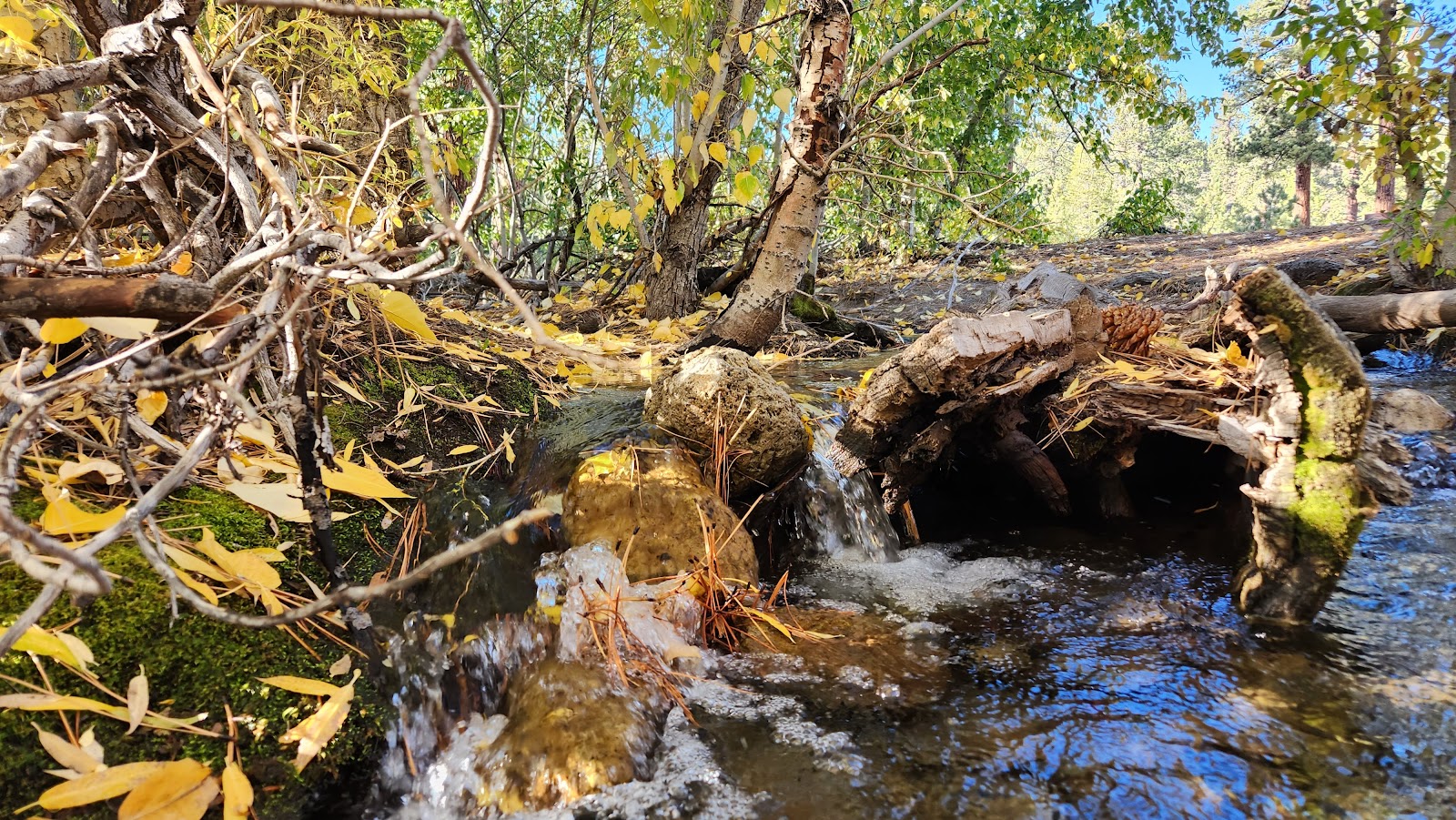 Glass Creek Campground