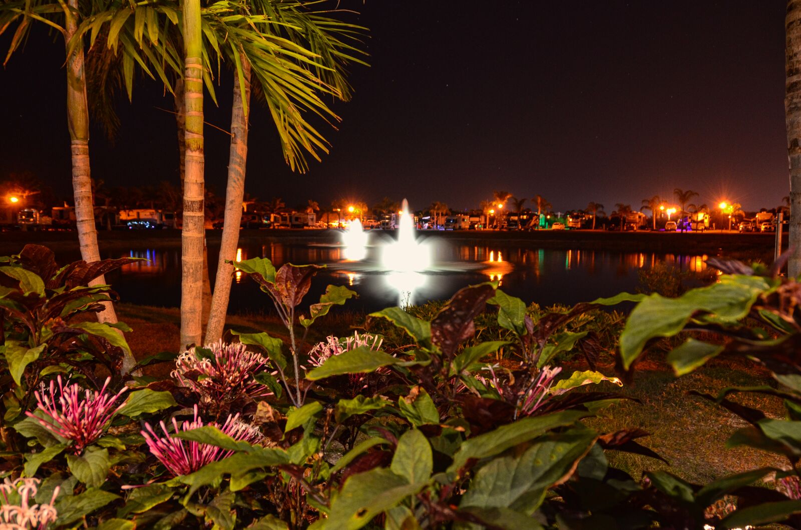 Silver Palms RV Village