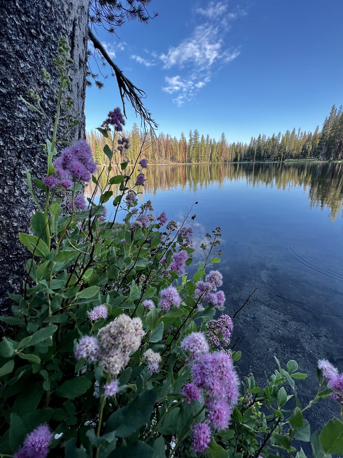Summit Lake North - Lassen Volcanic National Park