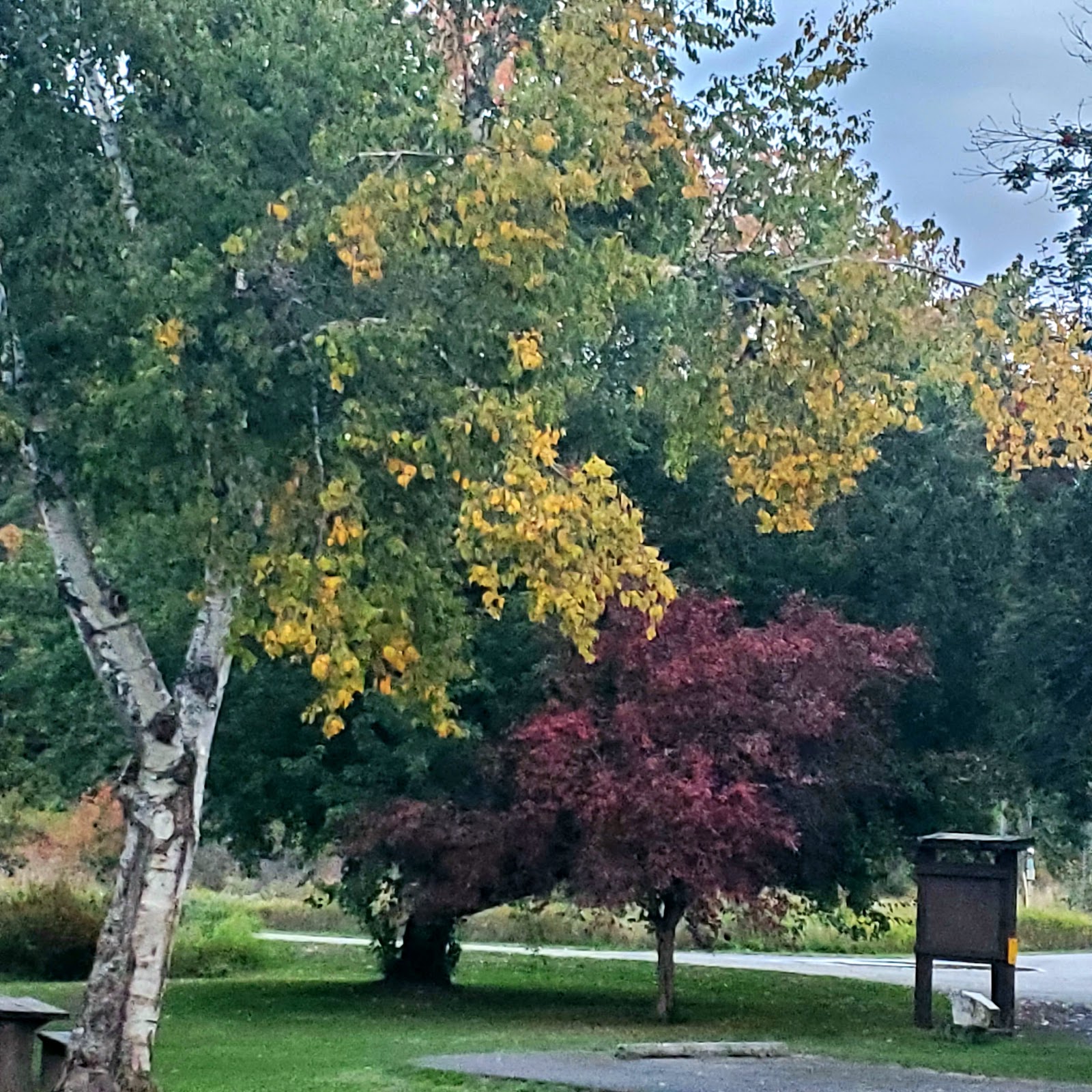Shadowy St Joe Campground