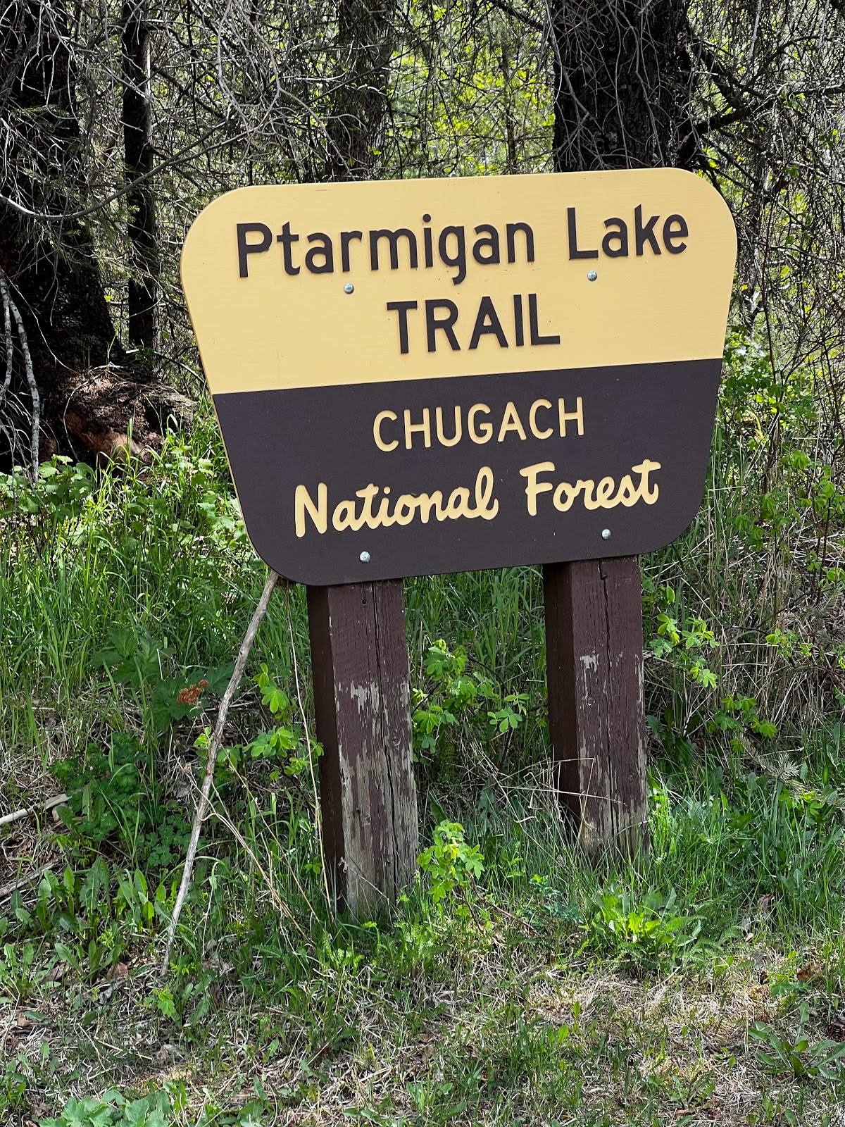 Ptarmigan NF Campground