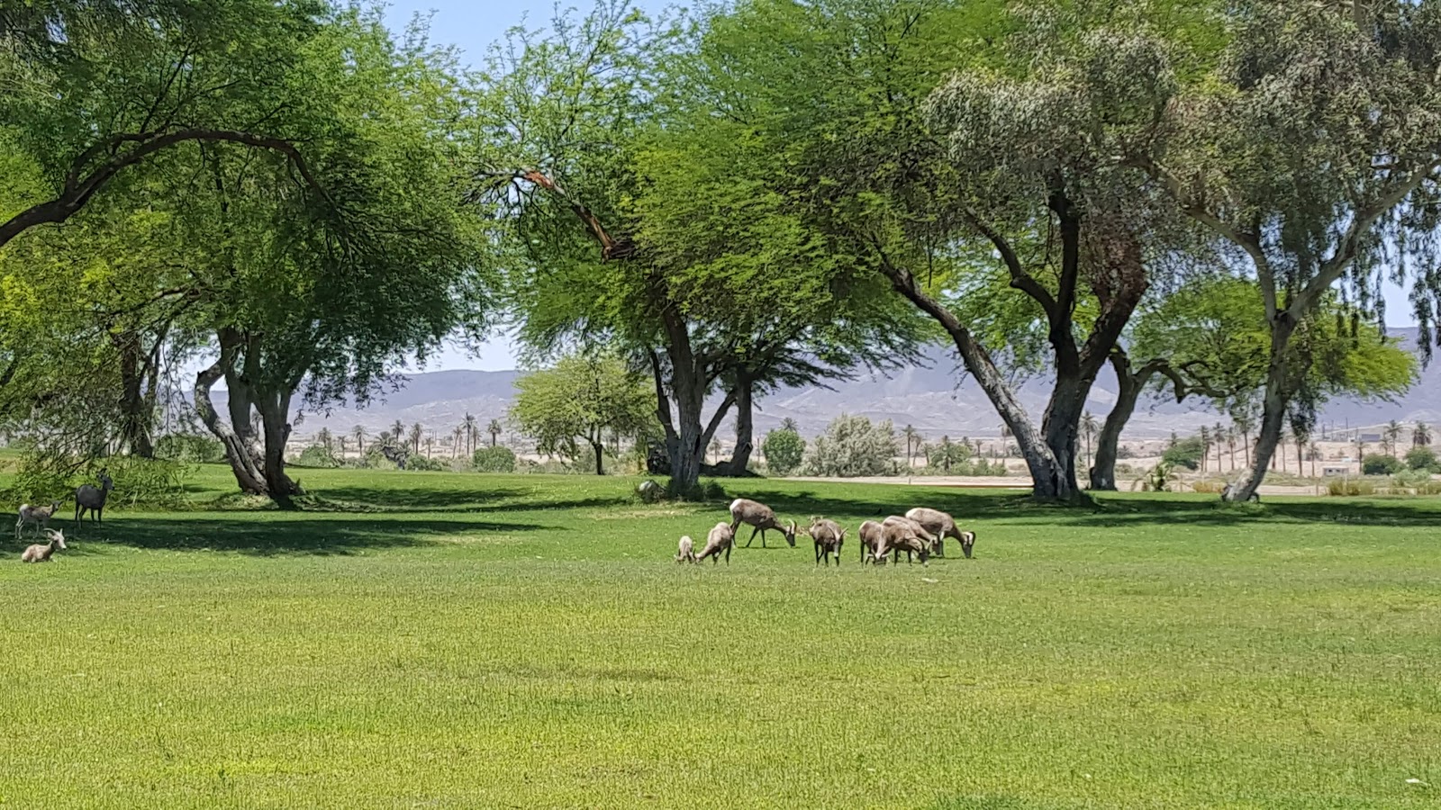 Hidden Shores RV Village