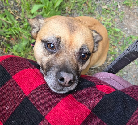 Benbow Lake State Rec Area