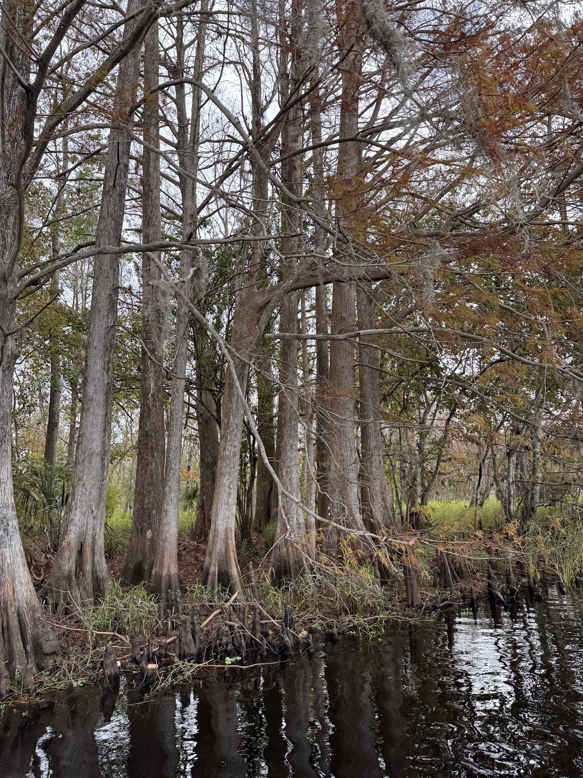 Camp Mack's River Resort Airboat Rides