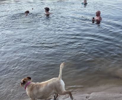 Shirley Creek Marina and Campground