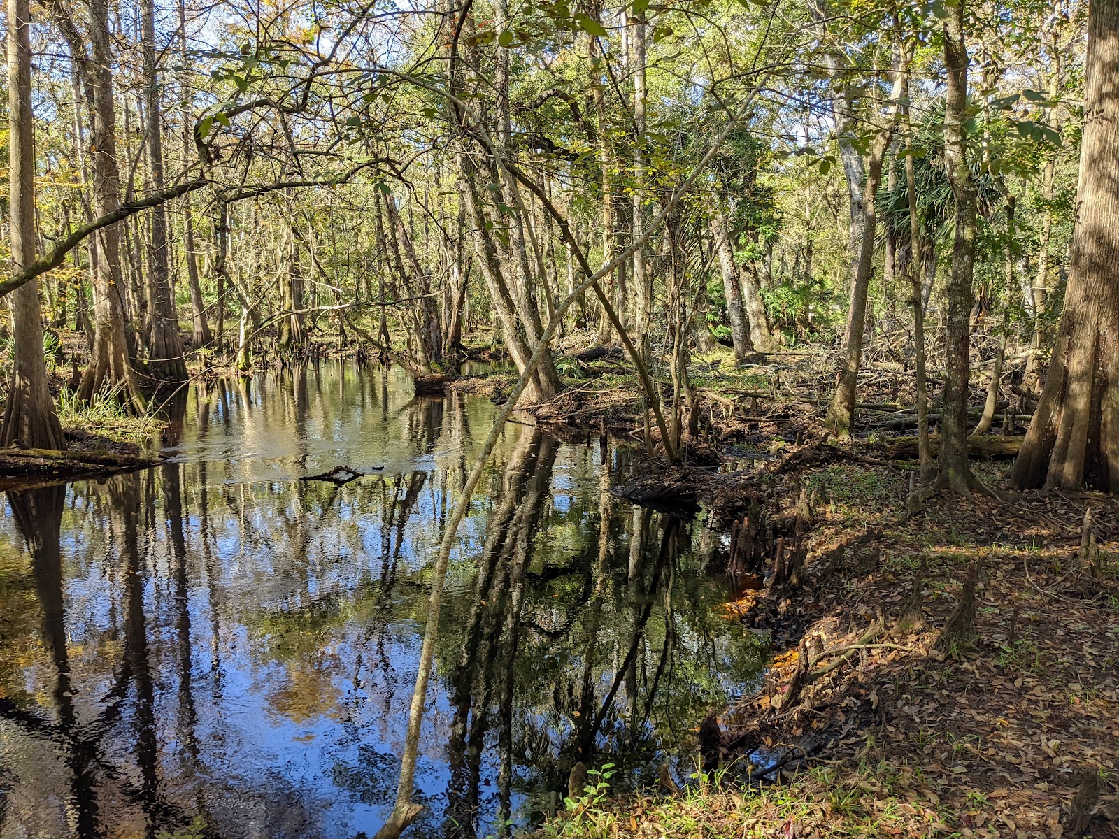 Hal Scott Preserve Primitive Campgrounds