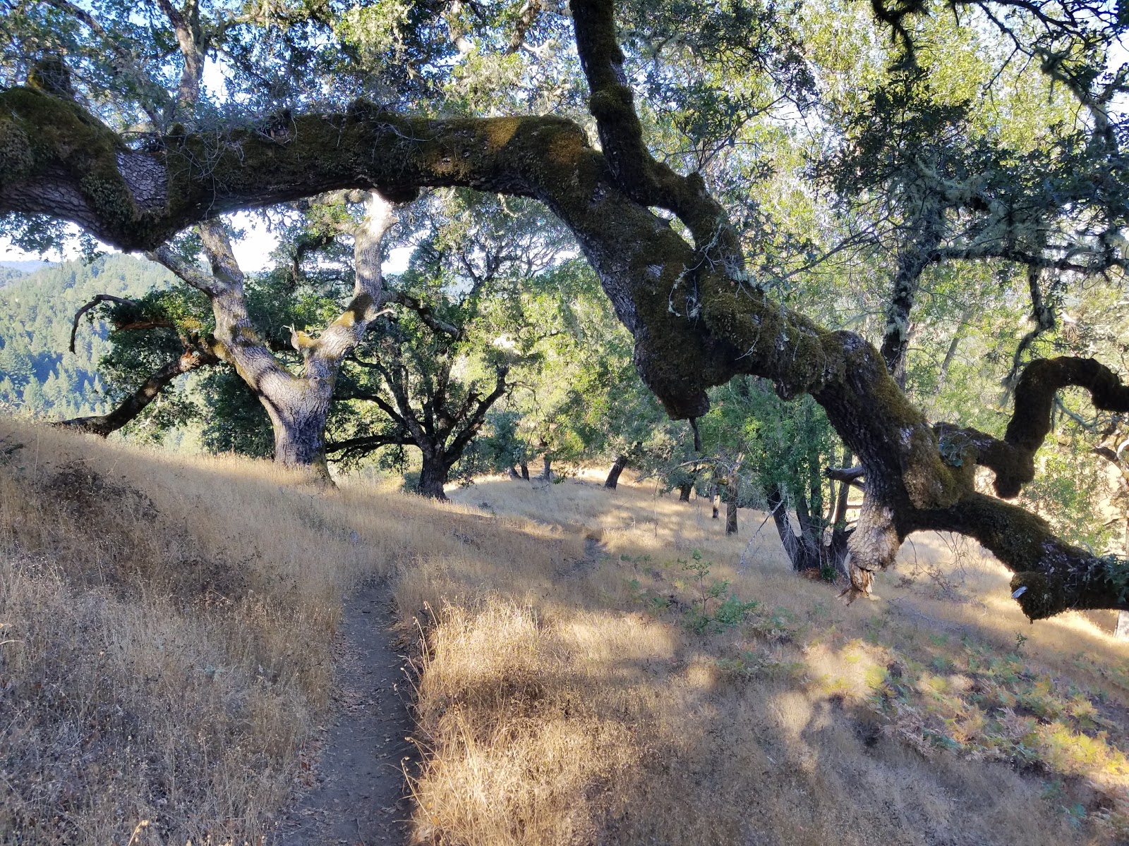 Austin Creek State Rec. Area