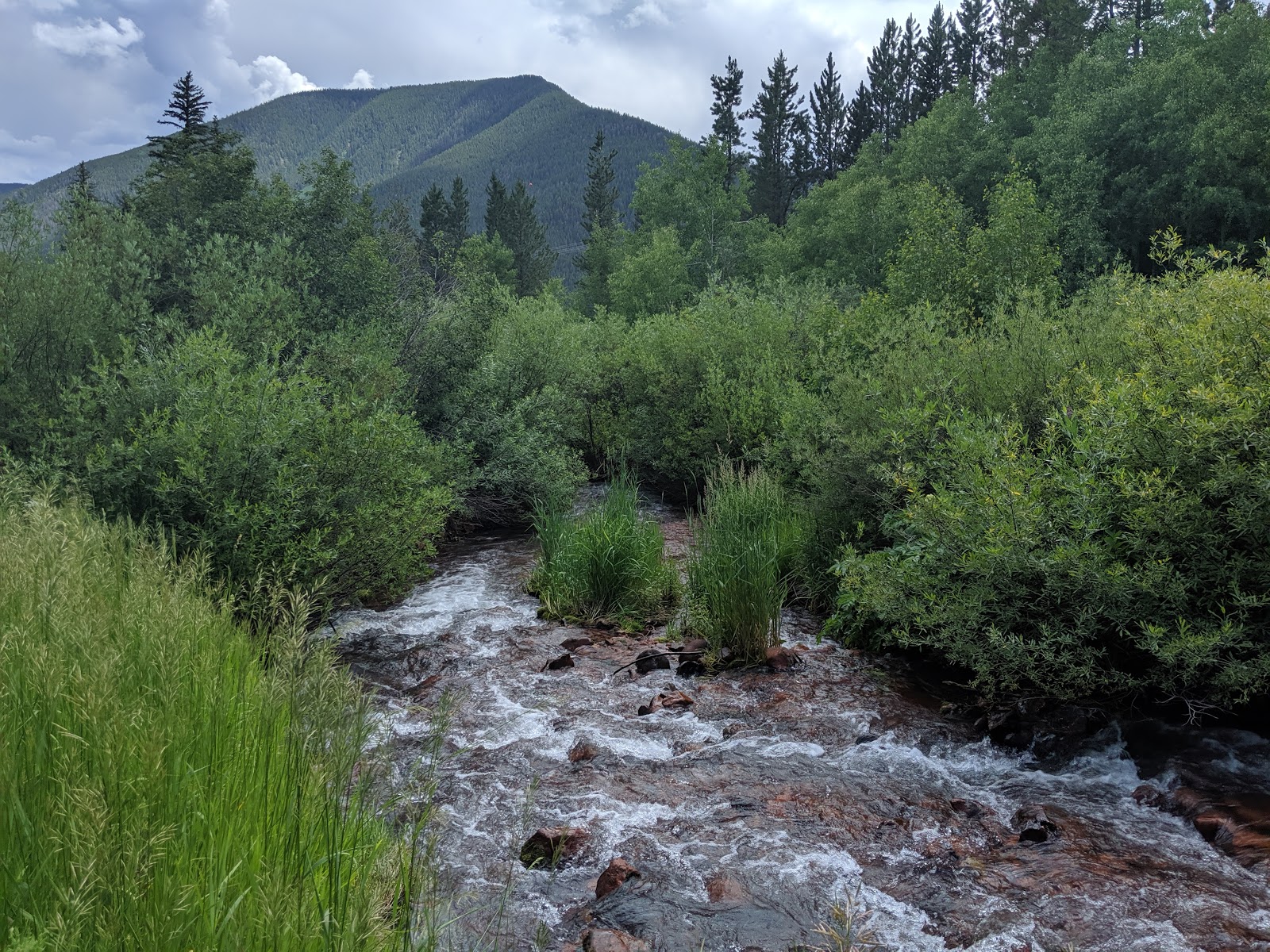 Little Maud Campground