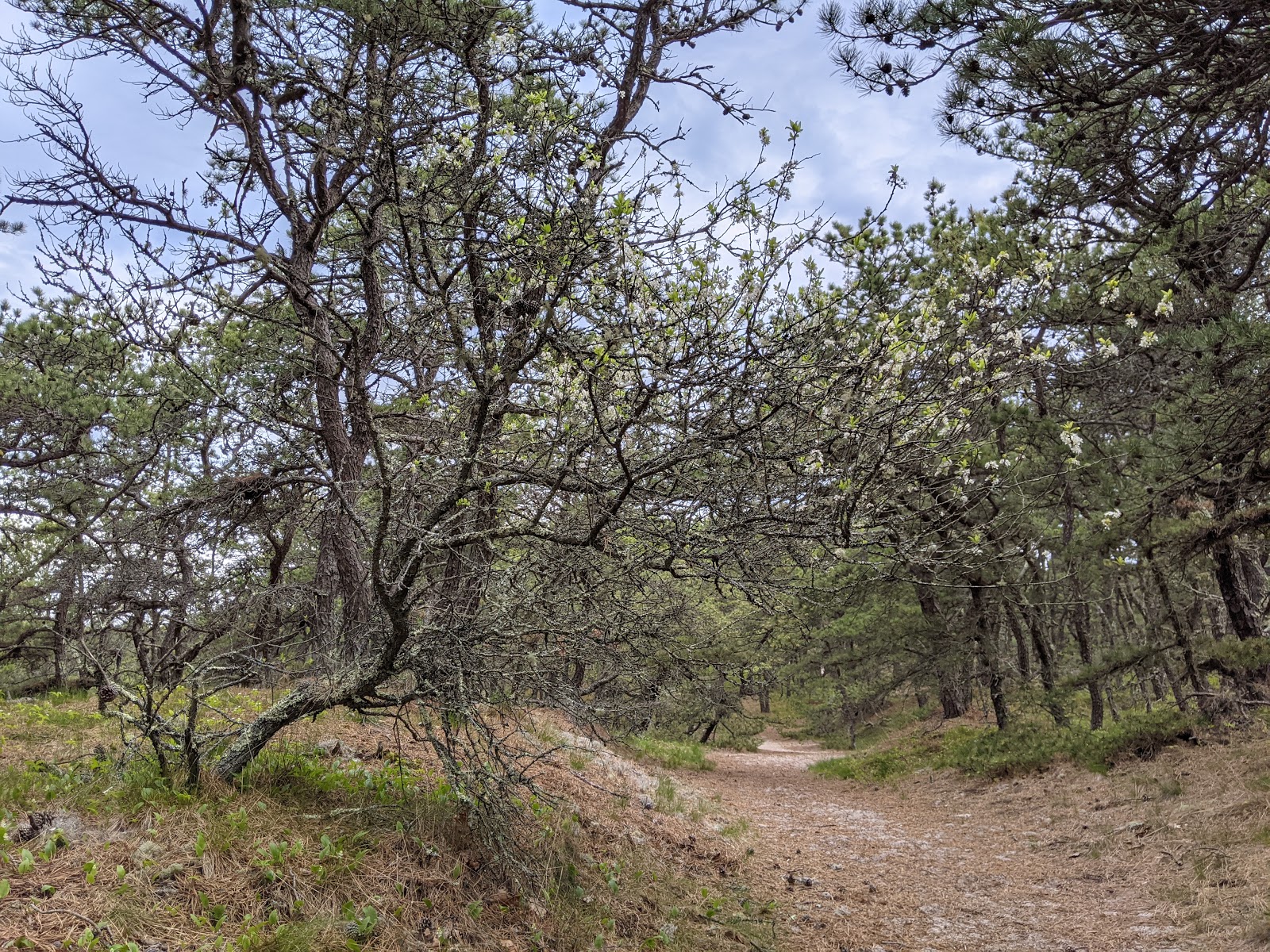 Dunes Edge Campground