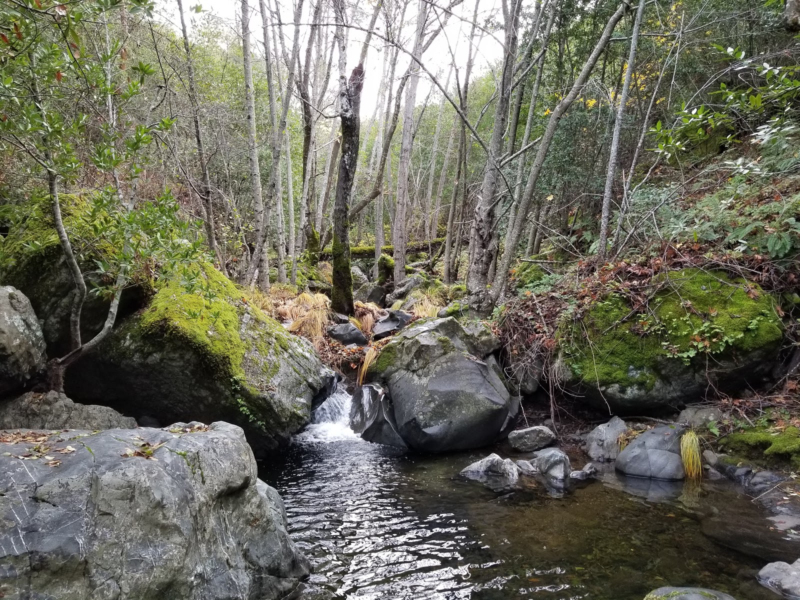 Alder Creek Campground