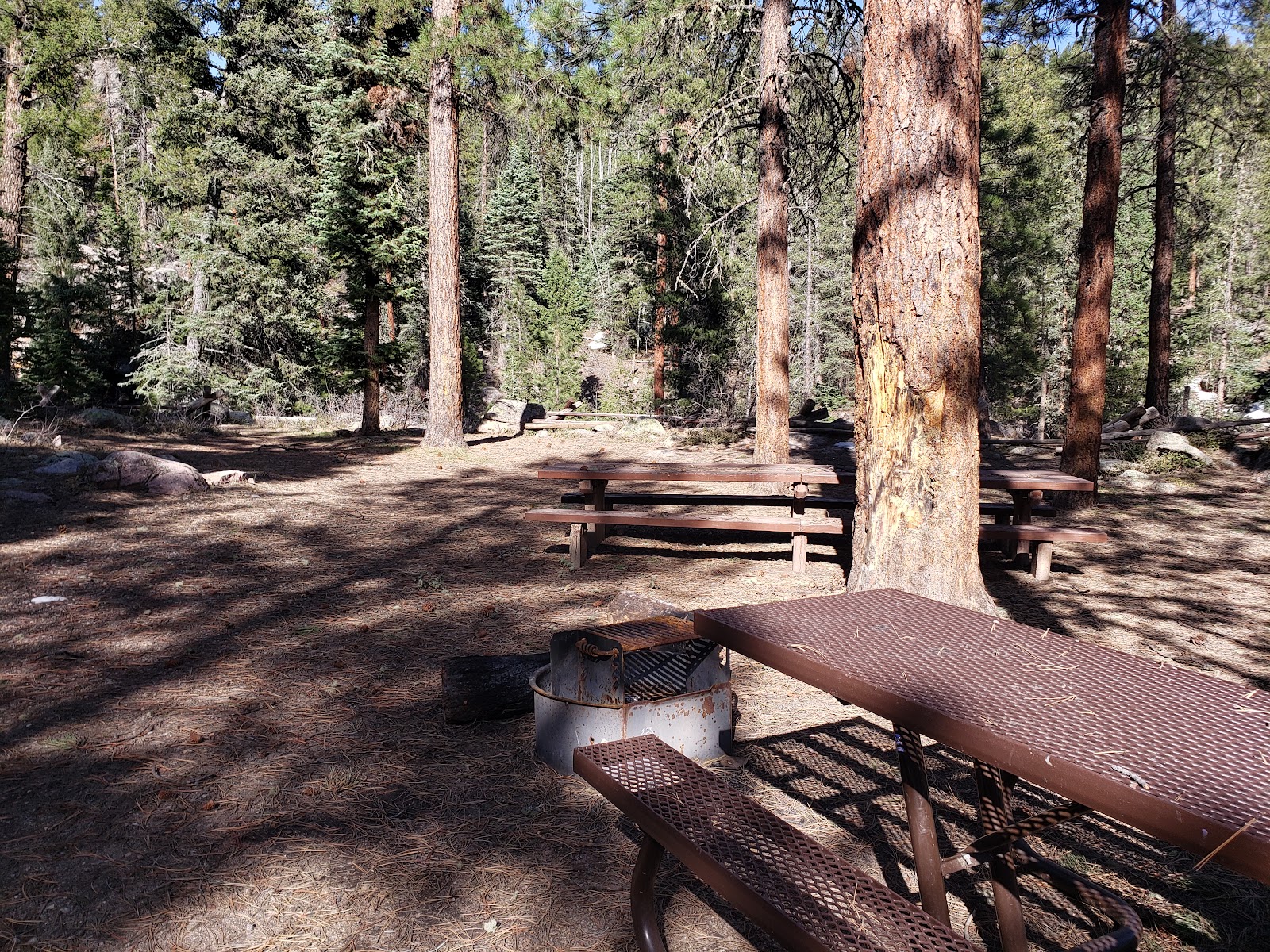 Transfer Park Campground