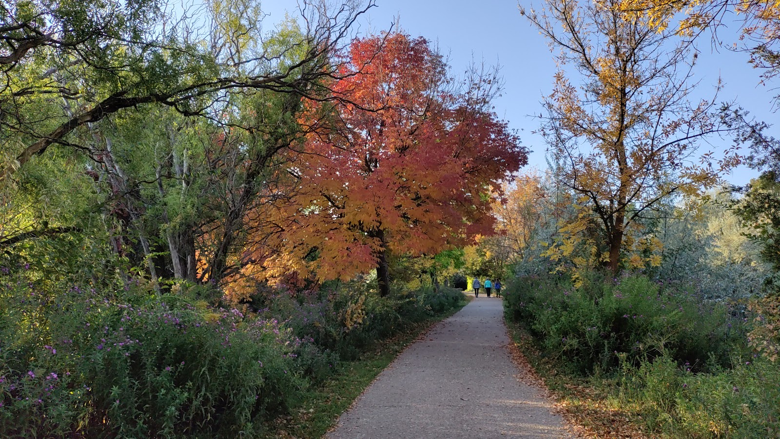 Americana Kampground