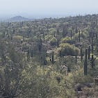 San Tan Mountain Regional Park