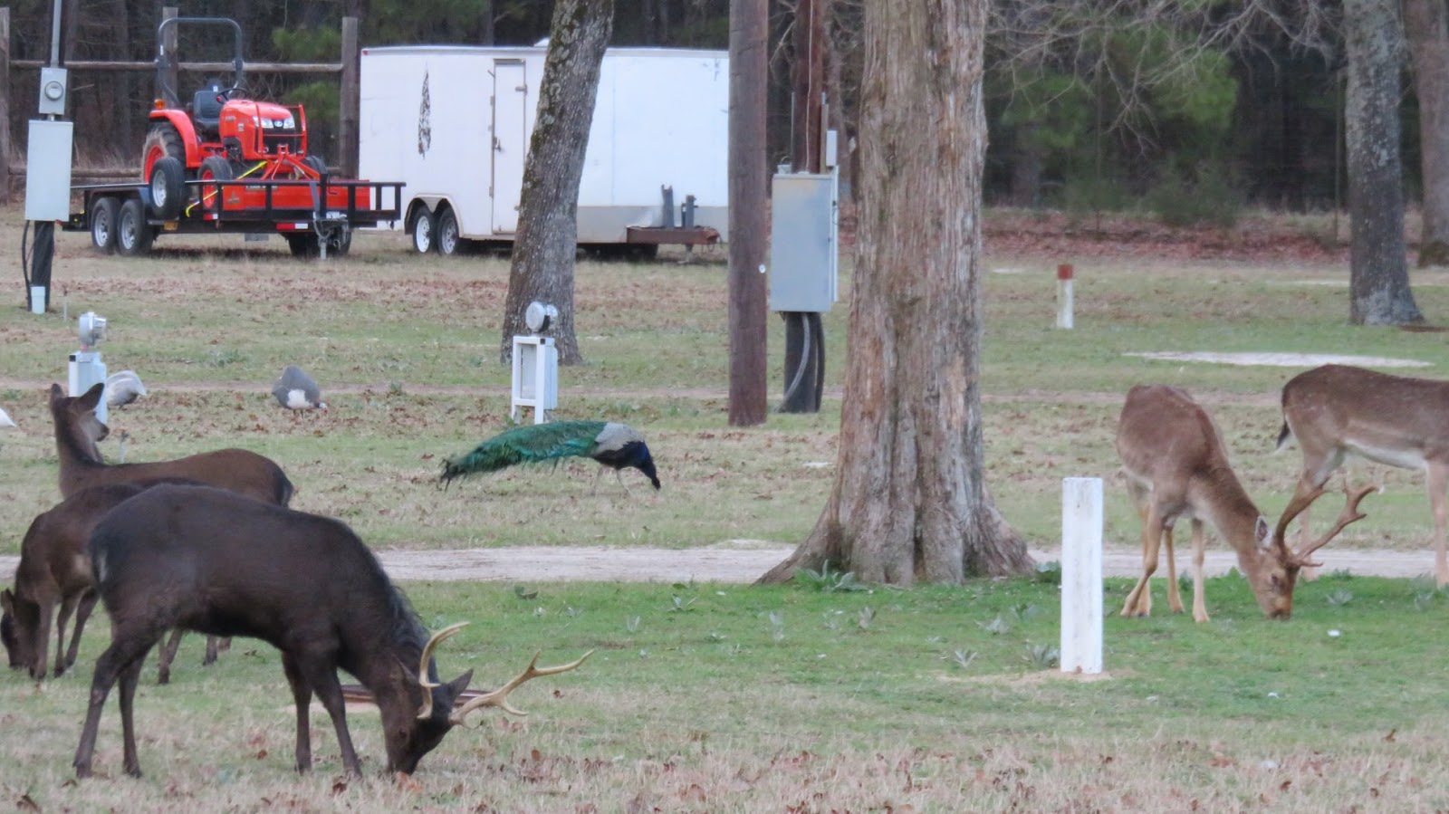 Camp Tonkawa Springs RV Park