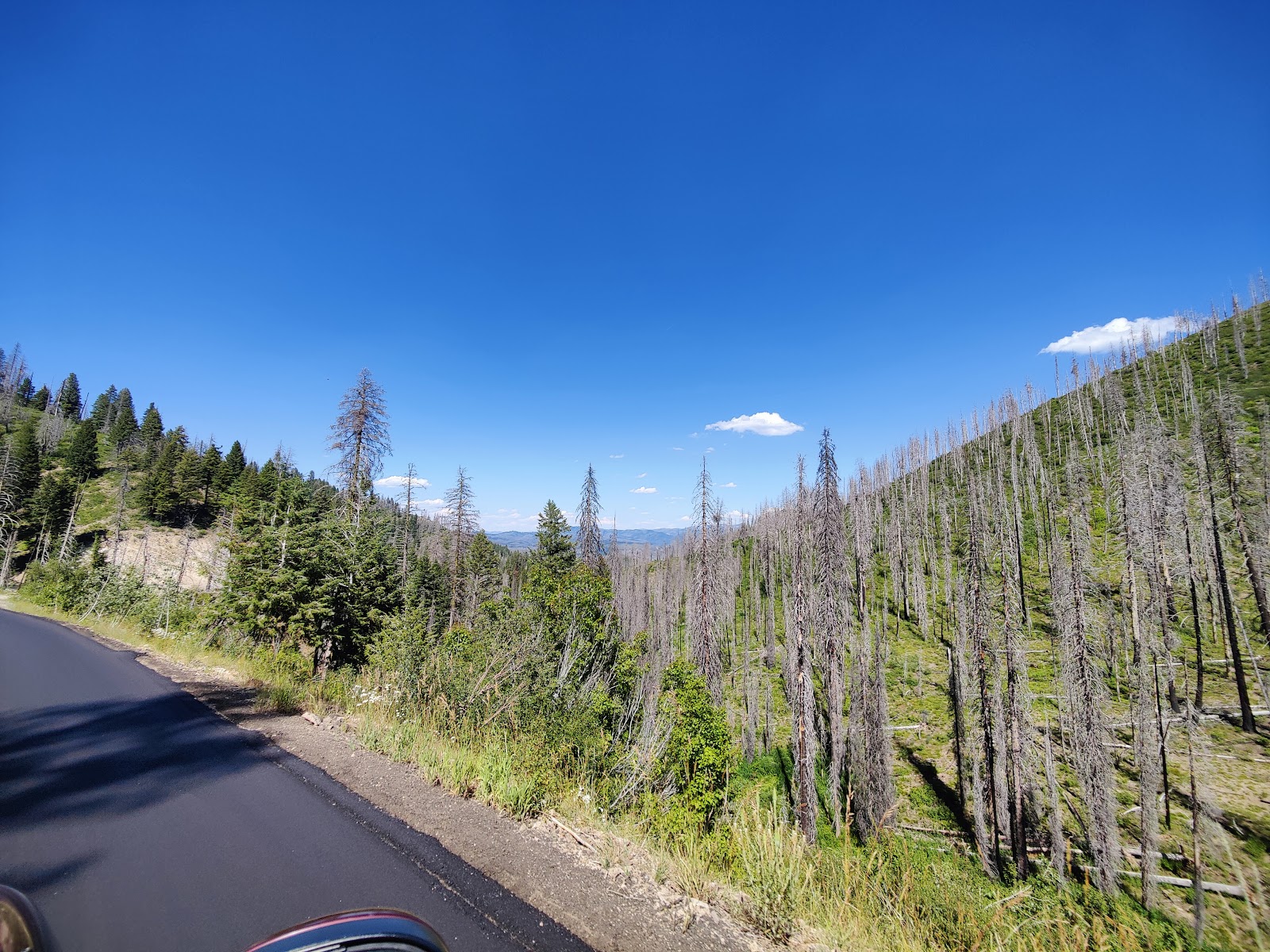 Hardscrabble Campground