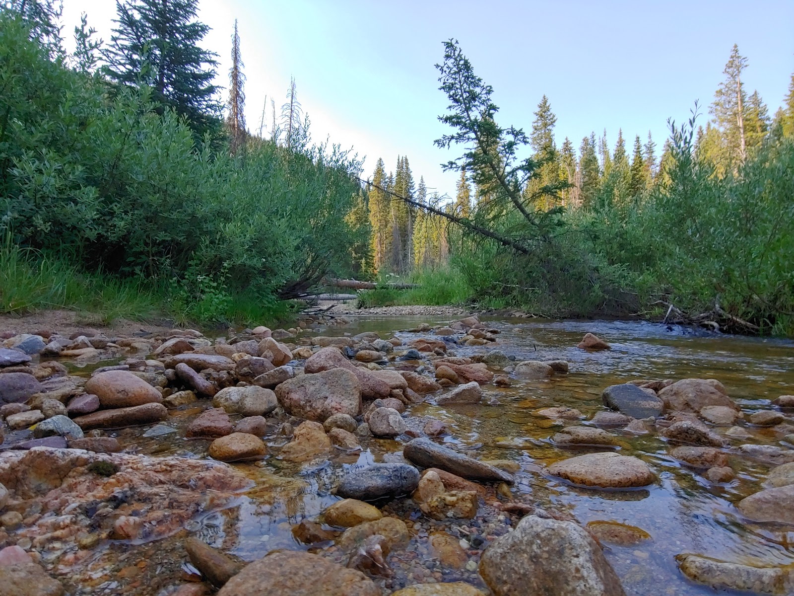 Robbers Roost Campground