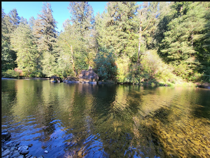 Kilchis River County Campground