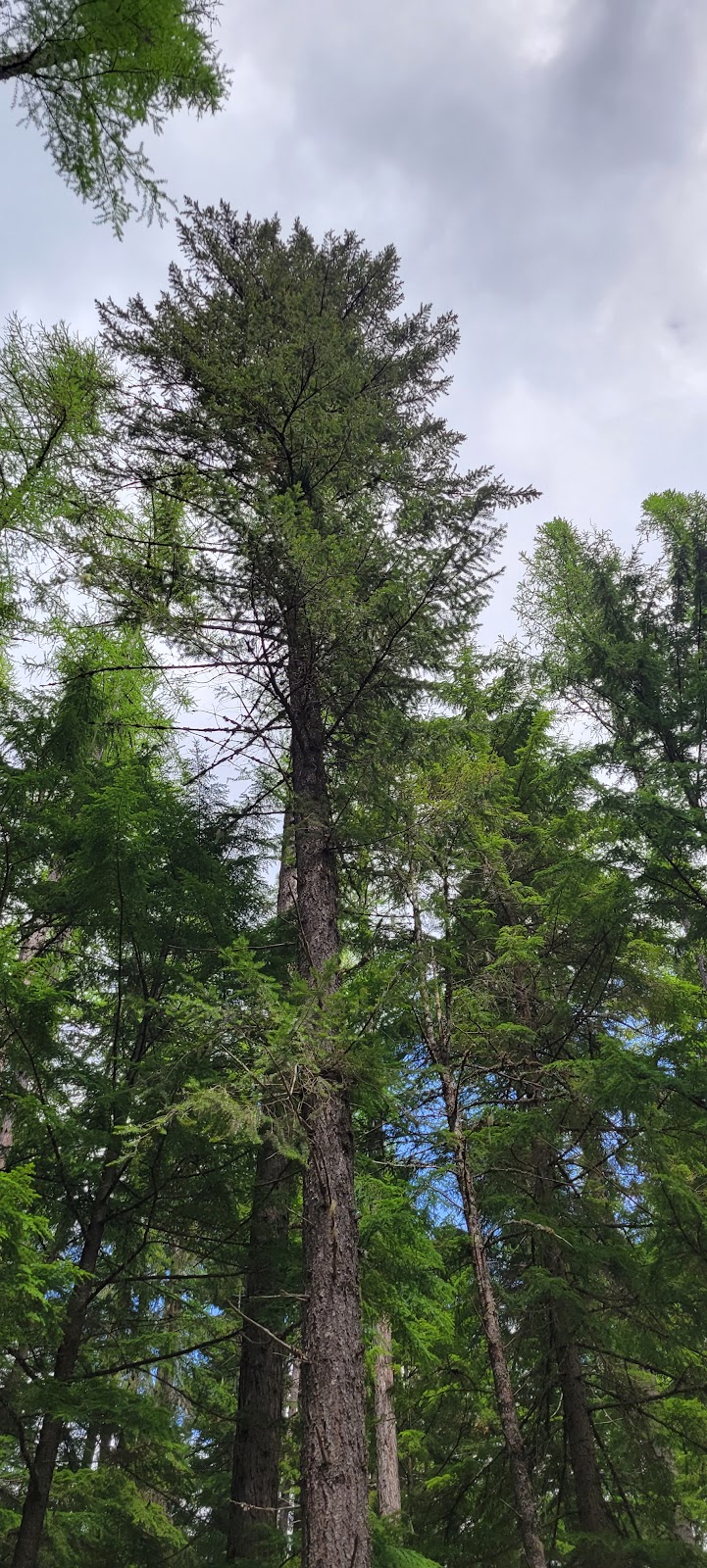 Marten Creek Group Campground