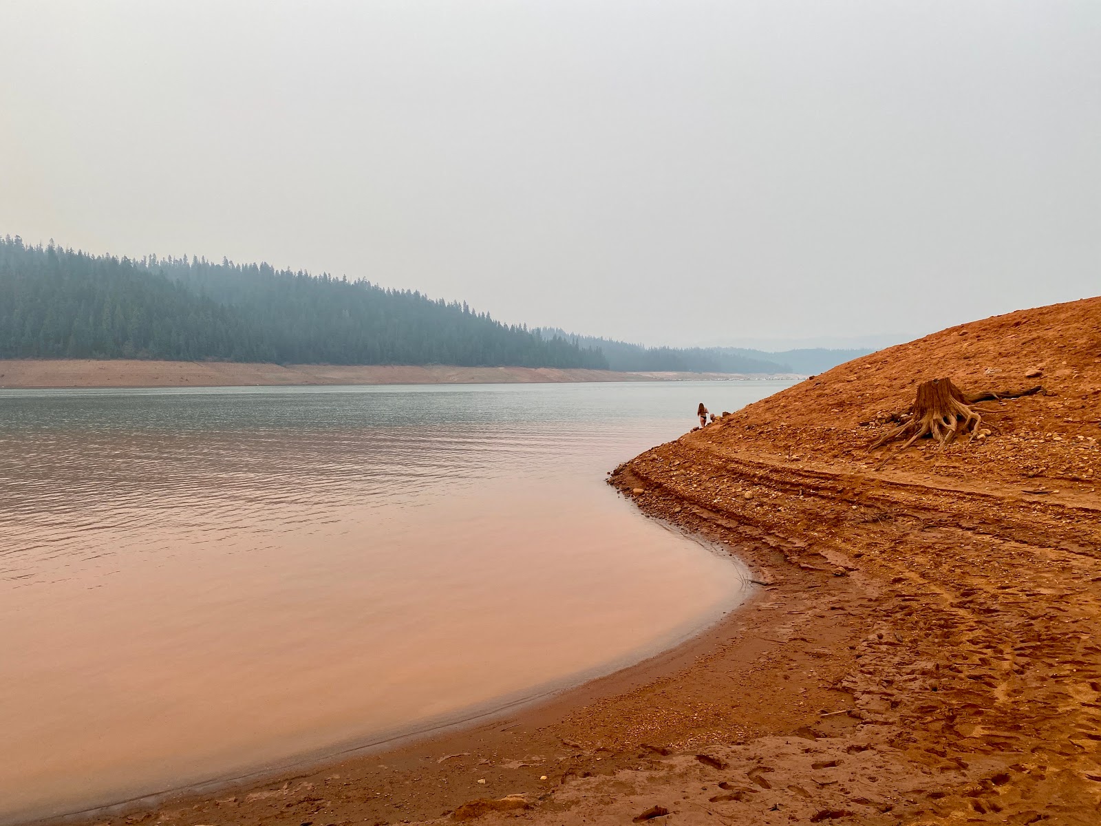 Shell Gulch Campground