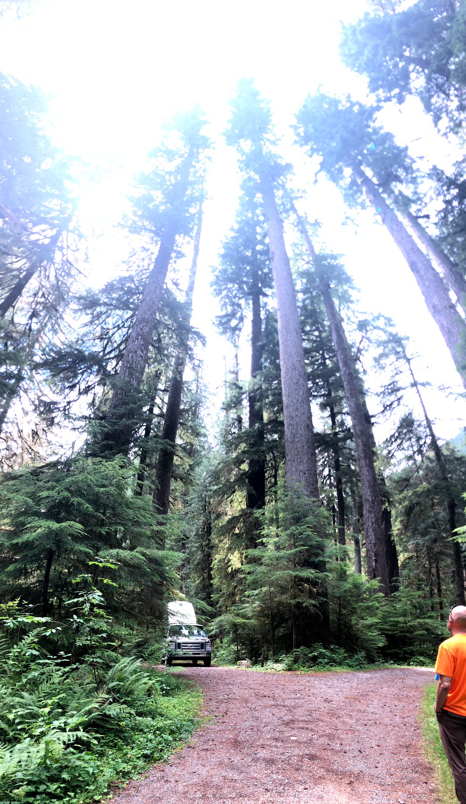 Campbell Tree Grove Campground