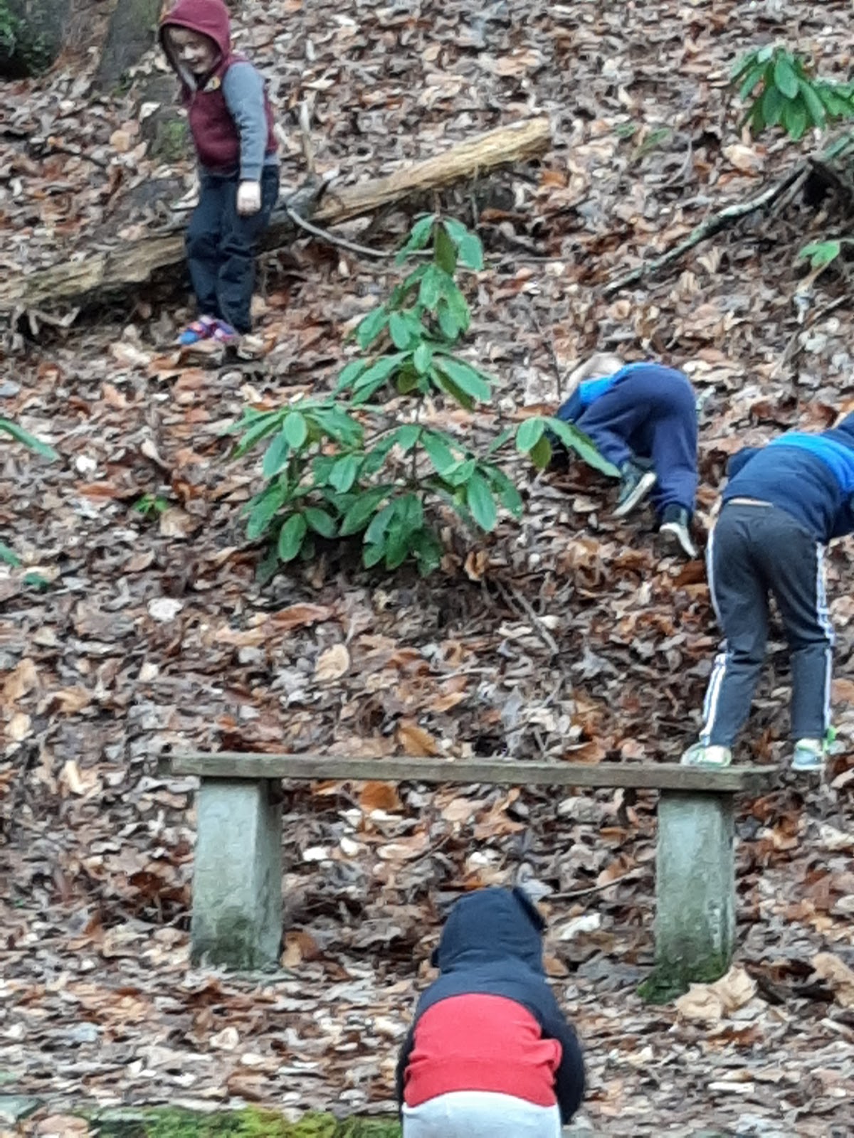 Dam Creek Walk-In Campground