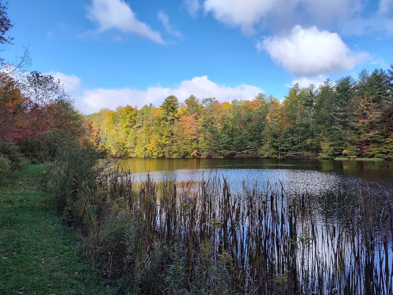 Hill Top Lake Campground
