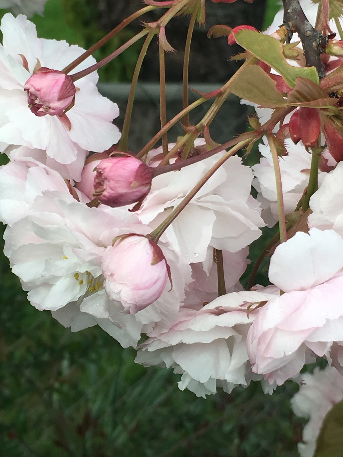 Ash Creek Mobile & RV Park