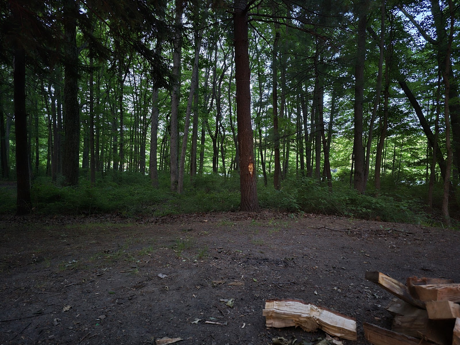 Ely Lake Campground and Equestrian Park