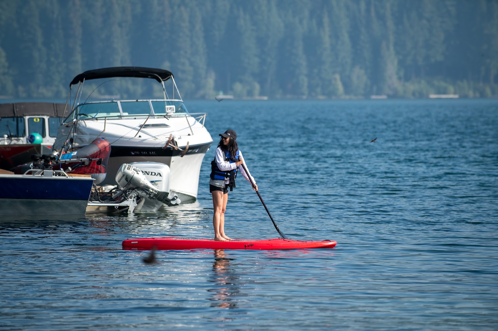 Shelter Cove Resort & Marina