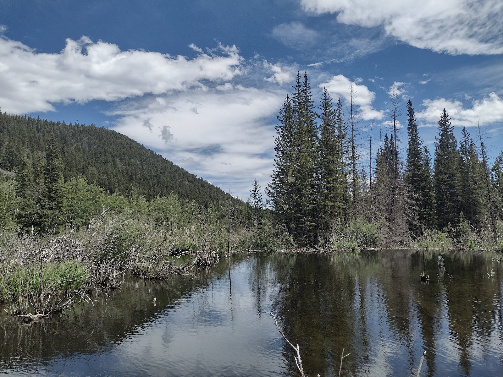 Jefferson Creek Campground