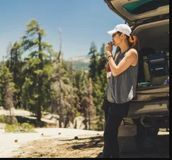 Big Meadows Cabin (CA)