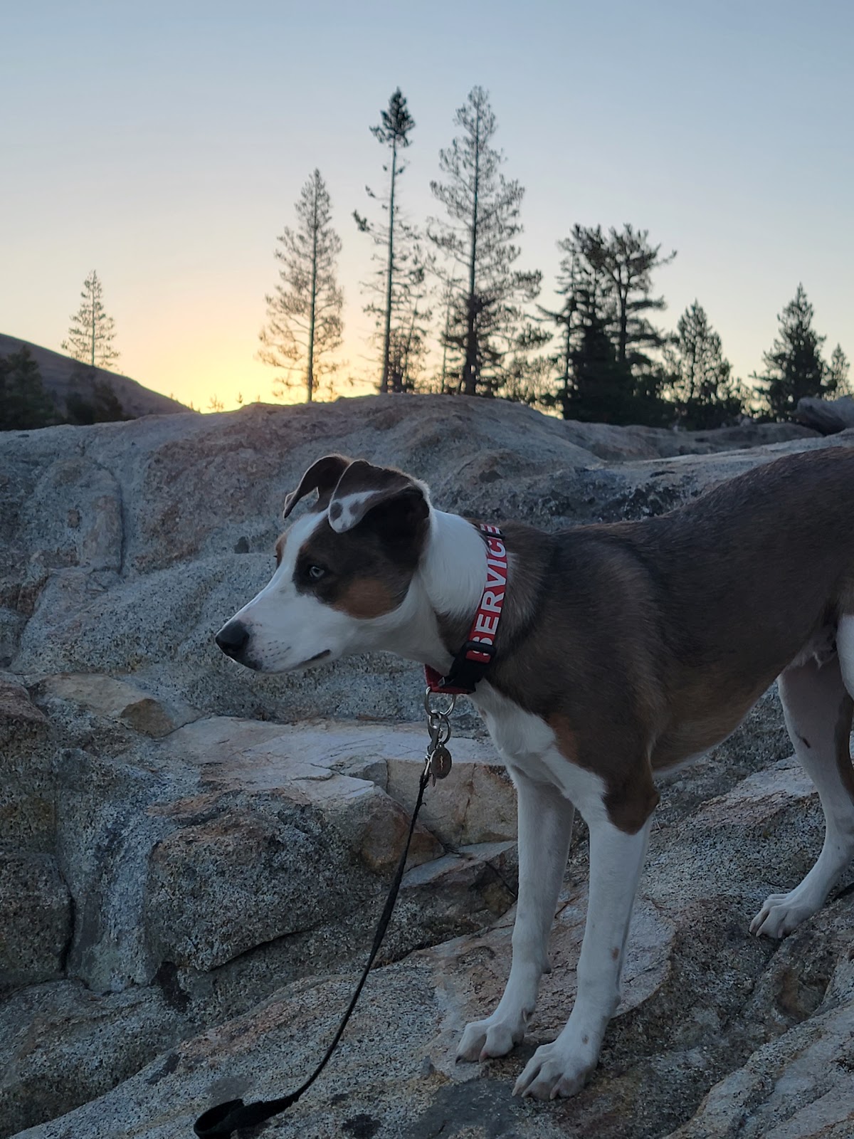 Caples Lake Campground