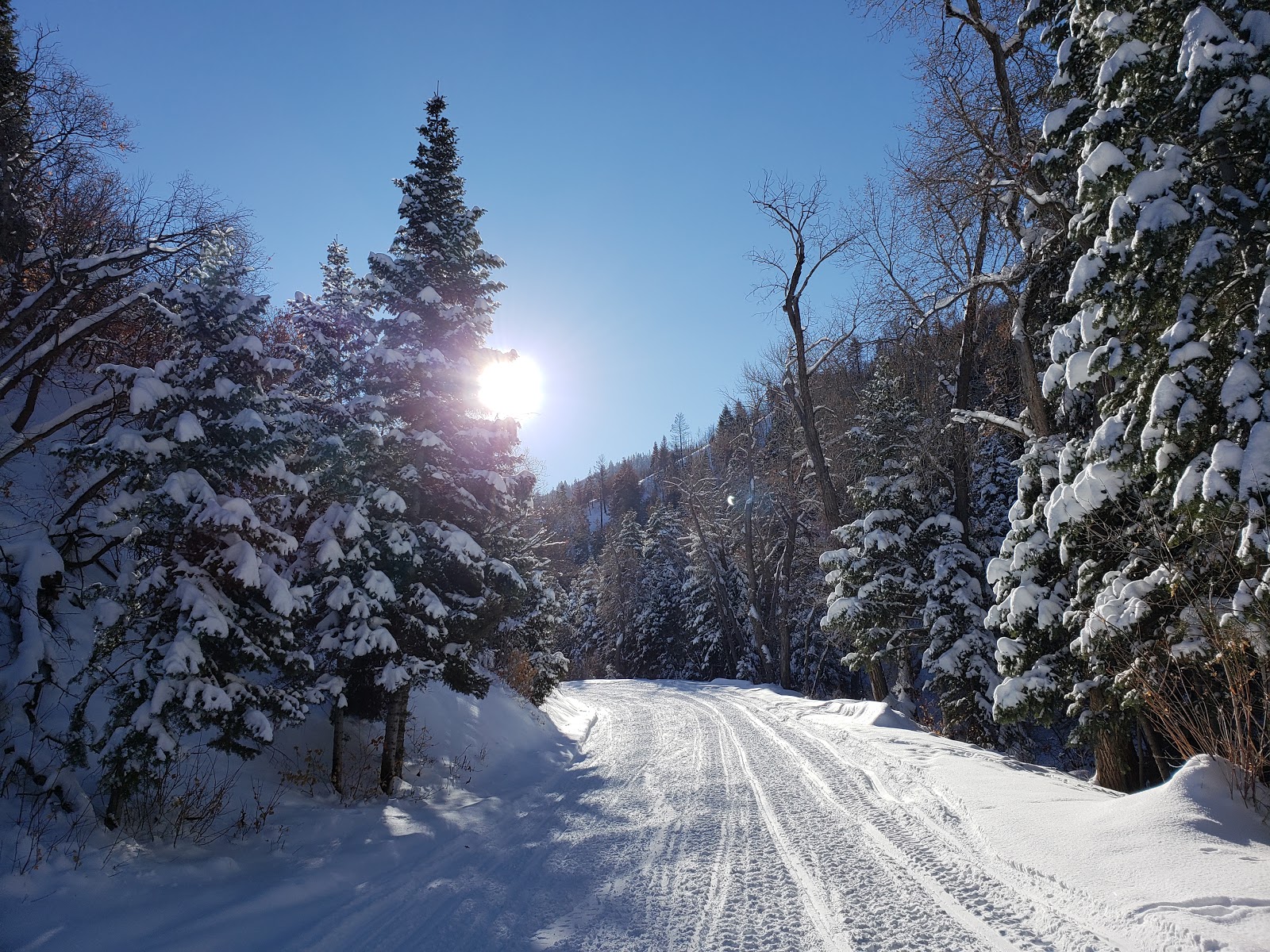 Maple Bench Campground