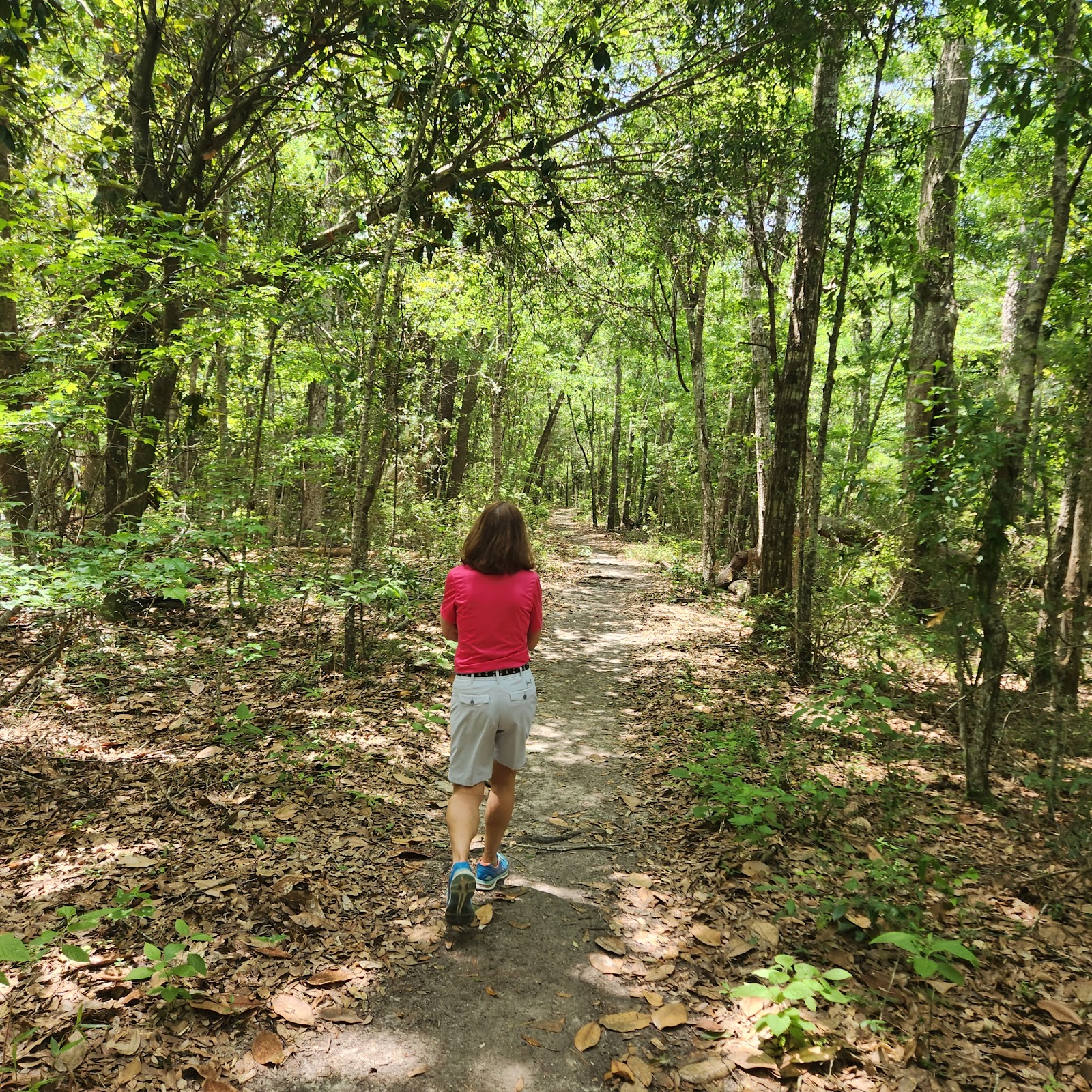 Davis Bayou Campground