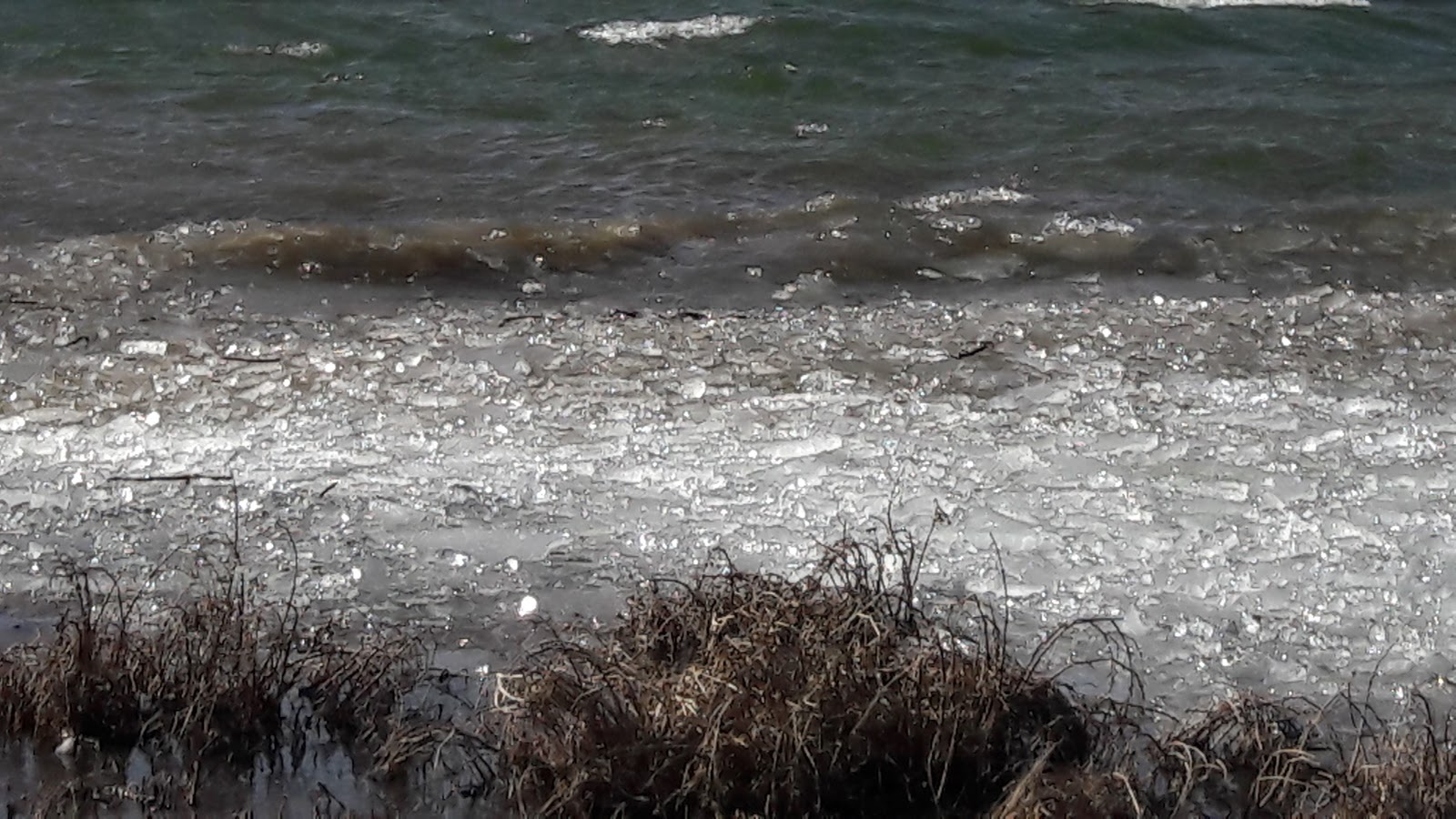 Lions Park Shelter - Lake Miola