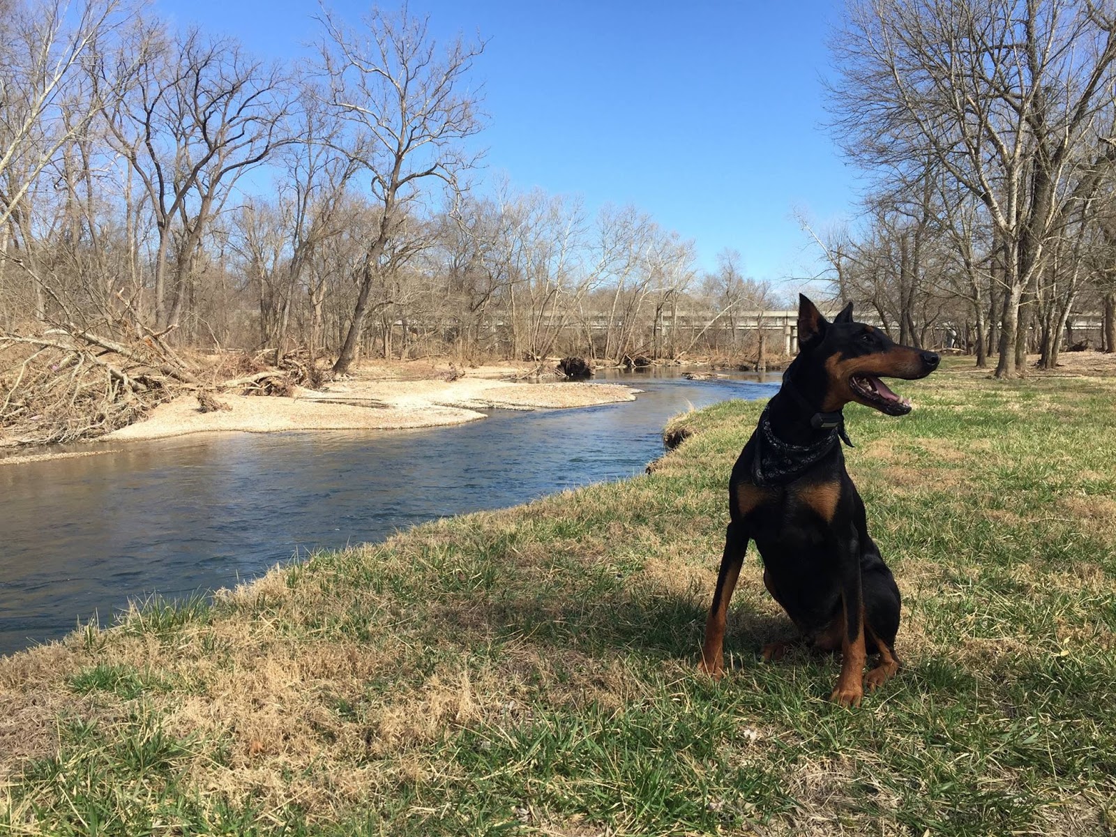 Big Shoal RV Country