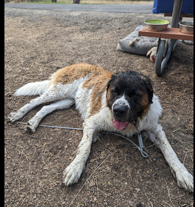 Fort Spokane Campground