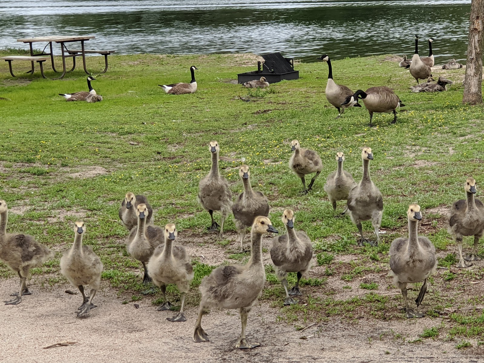 Fremont State Recreation Area