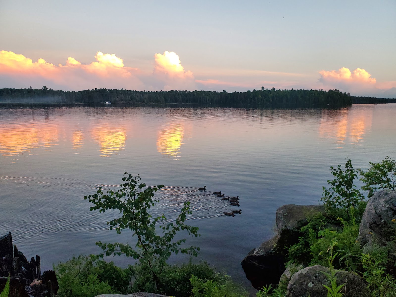 Birch Lake Campground