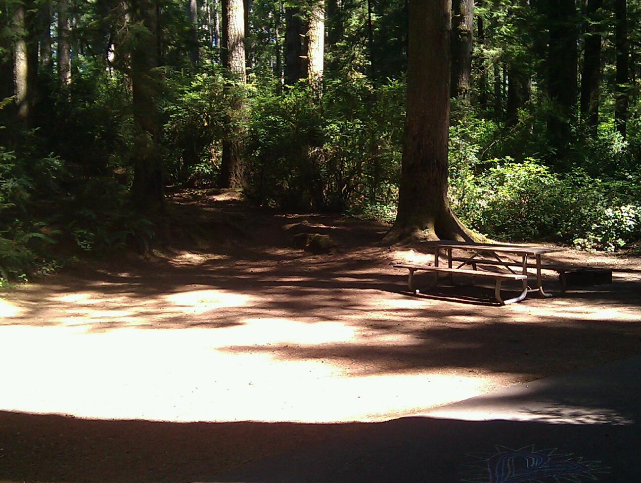 Jesse M. Honeyman Memorial State Park