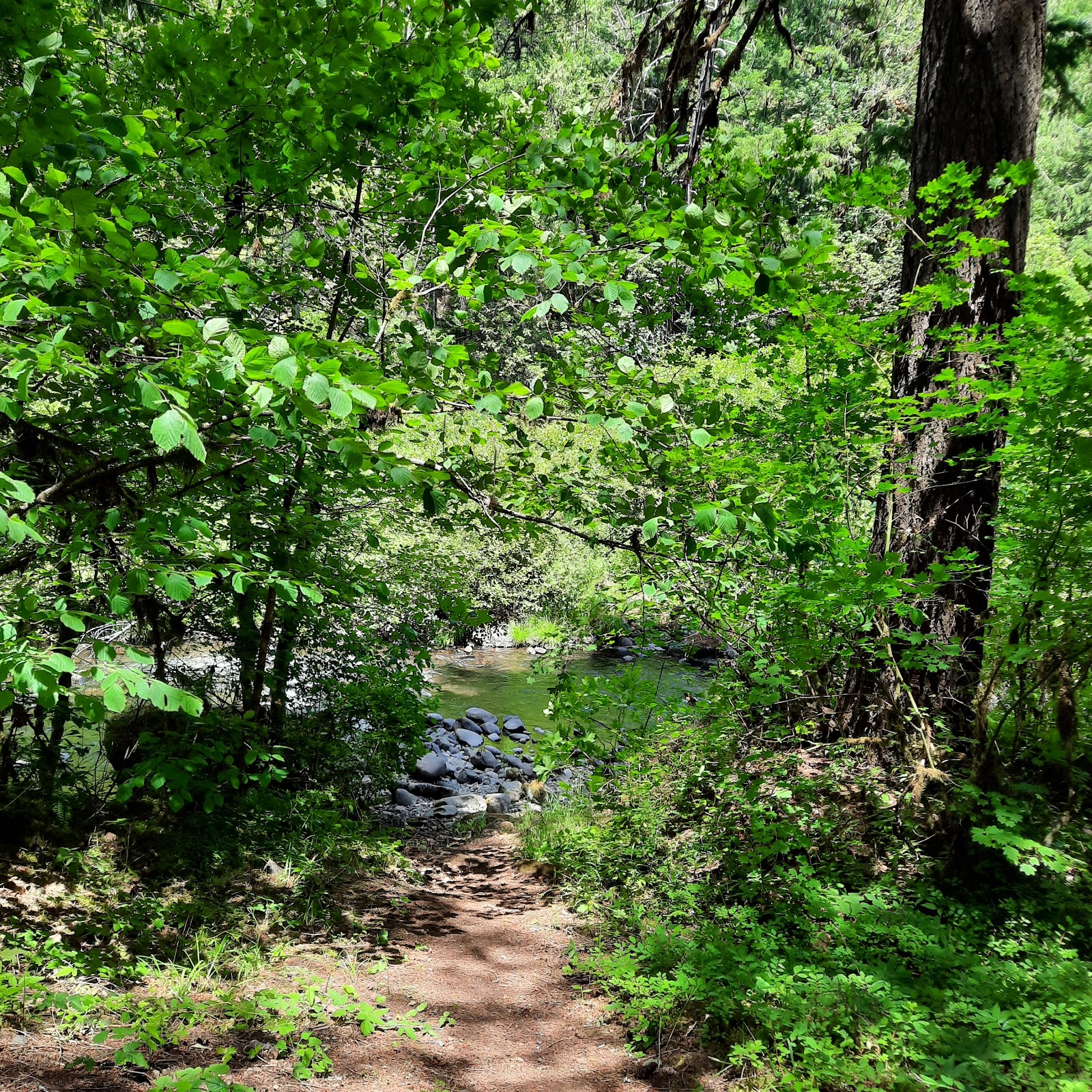 White Creek Campground