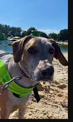 Serendipity Resort & Campground