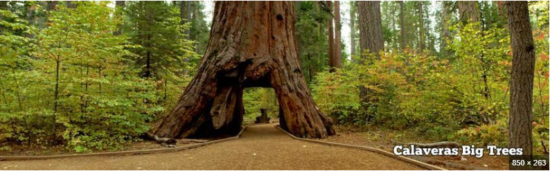 Horseshoe Road Recreation Area