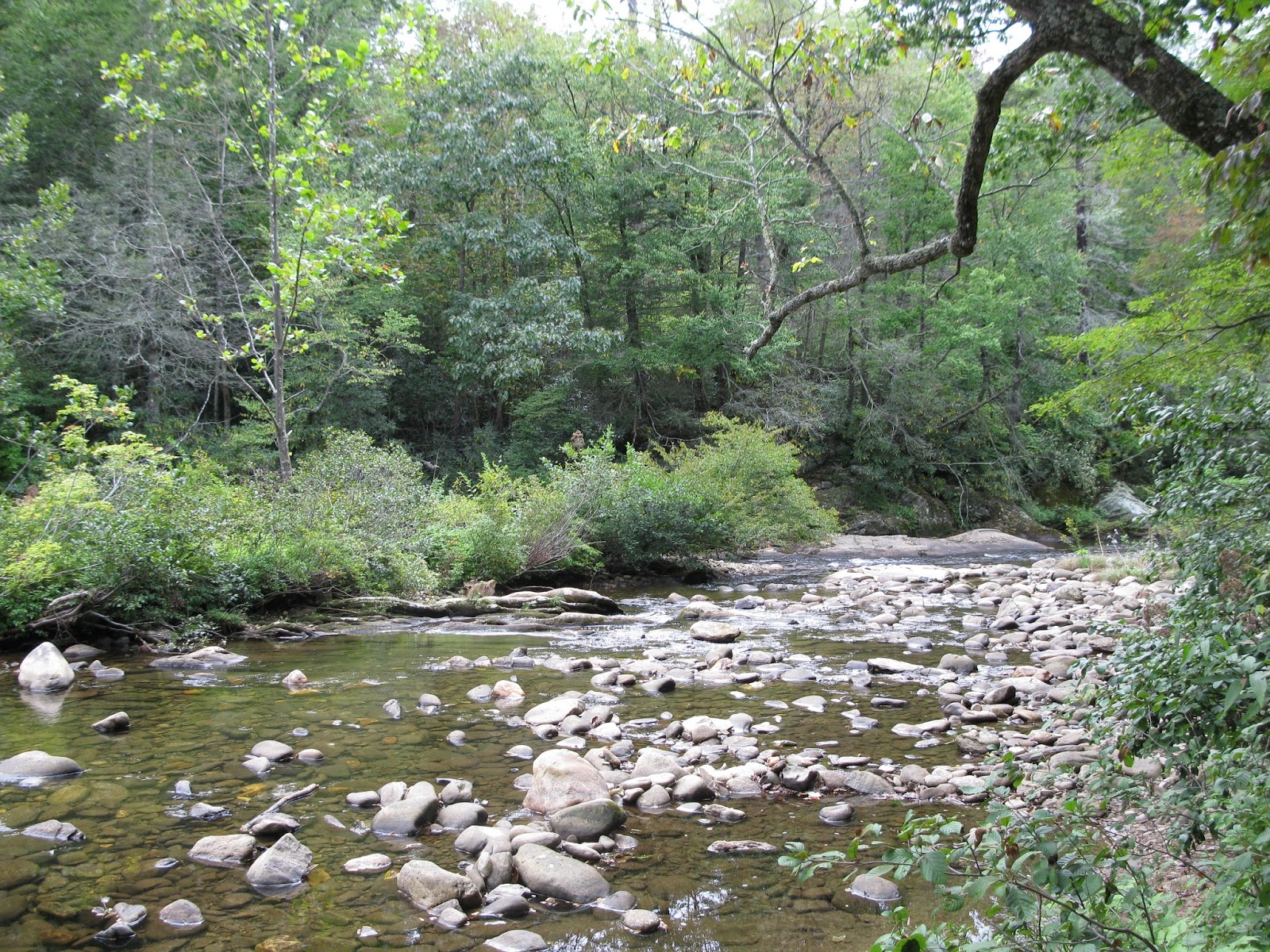 Carolina Hemlocks Recreation Area