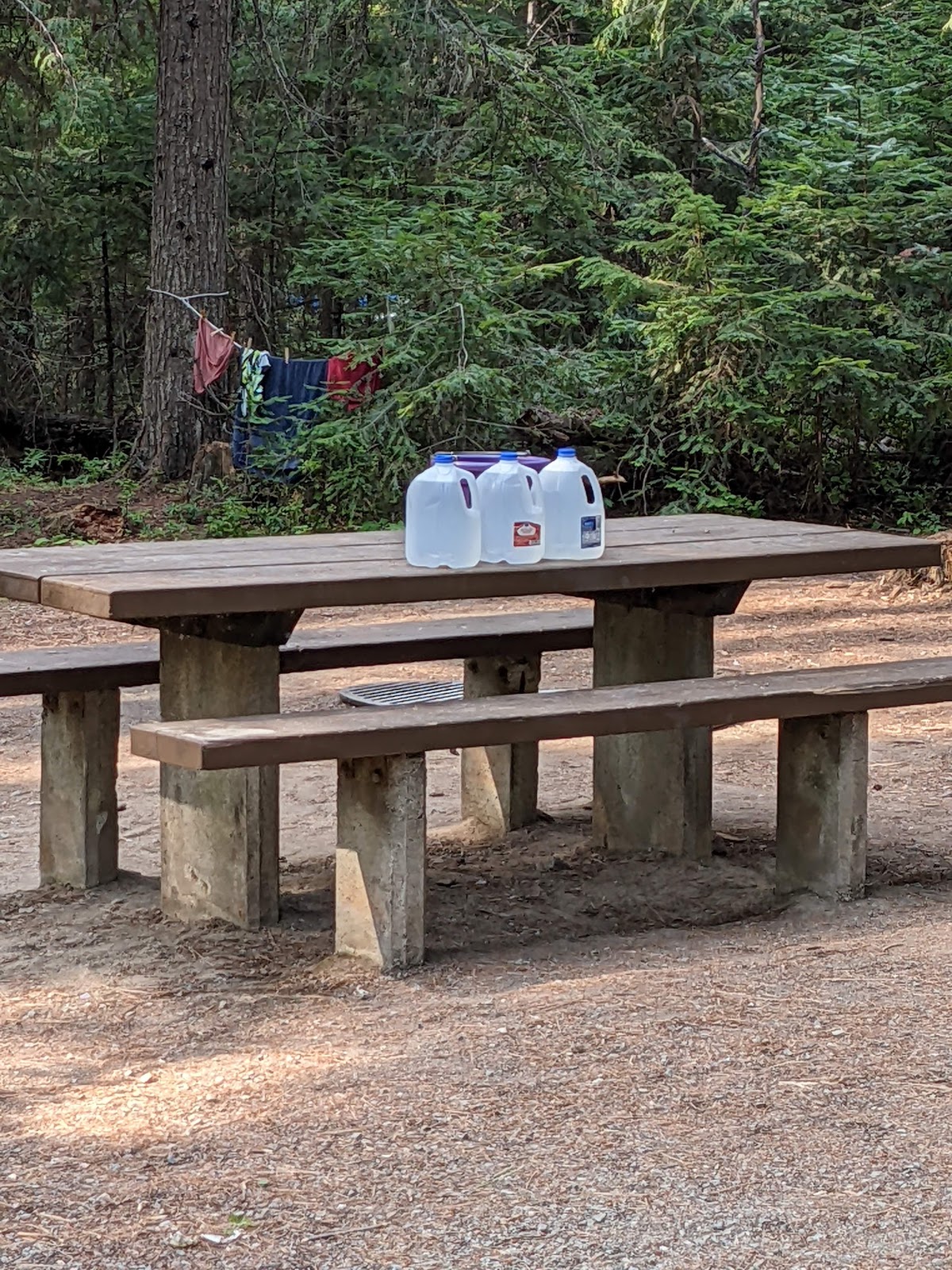 Reeder Bay Campground