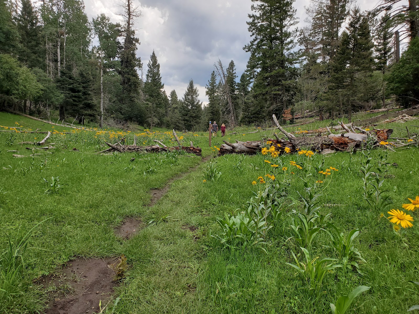 Silver and Silver Overflow Campgrounds